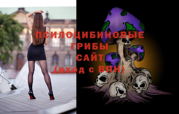 прущие грибы Магадан