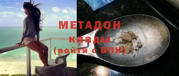 прущие грибы Магадан