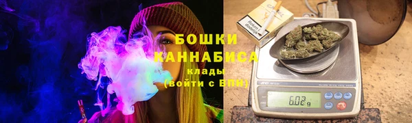 прущие грибы Магадан