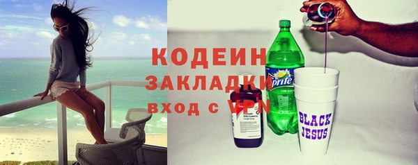 прущие грибы Магадан