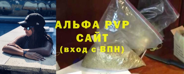 прущие грибы Магадан