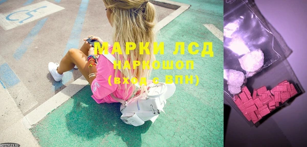 прущие грибы Магадан