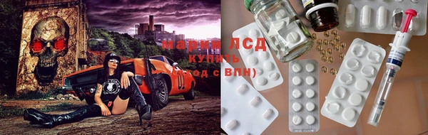 прущие грибы Магадан