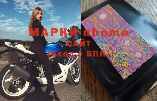 прущие грибы Магадан